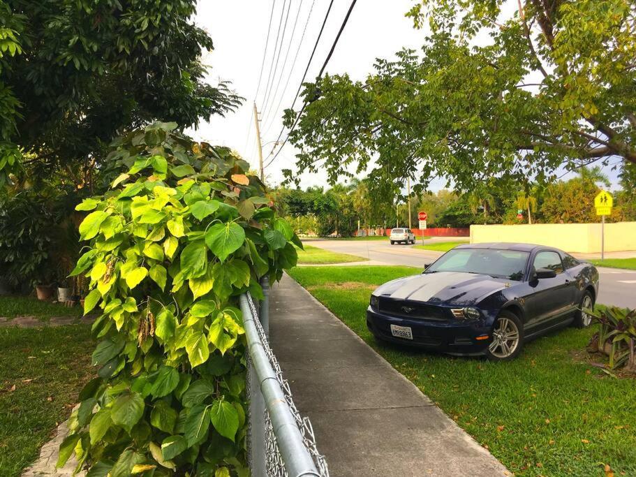 Miami Bungalow Oasis Near Everglades & The Keys Cutler Bay Bagian luar foto