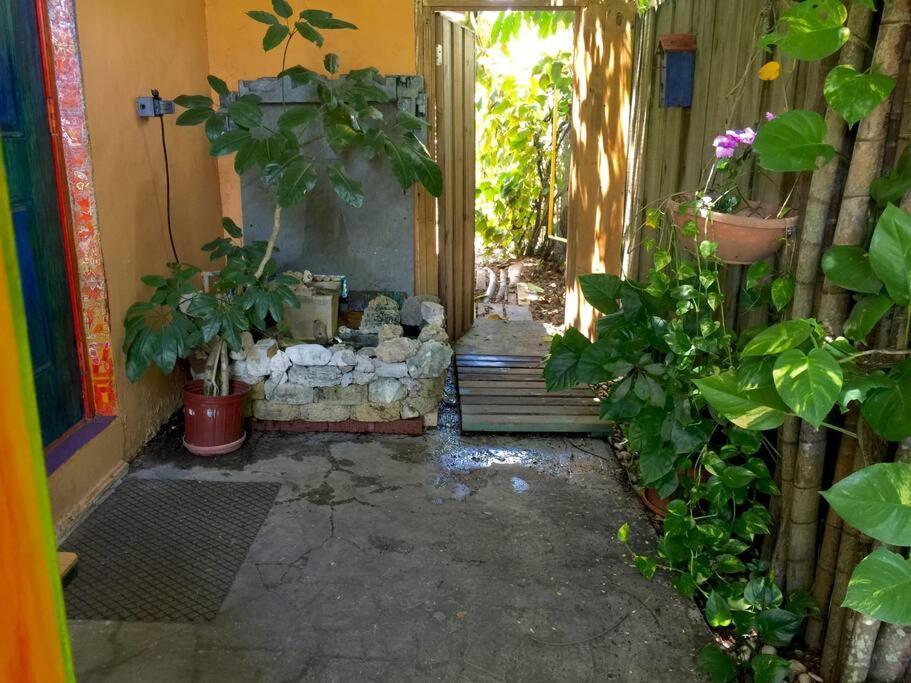 Miami Bungalow Oasis Near Everglades & The Keys Cutler Bay Bagian luar foto
